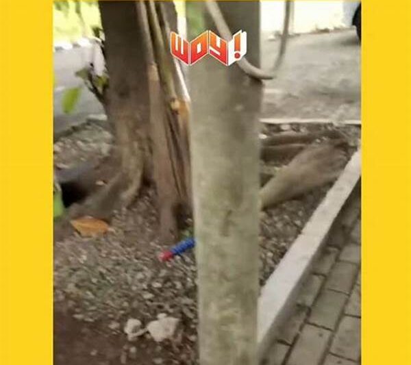 Kumpulan Video Kocak Instagram