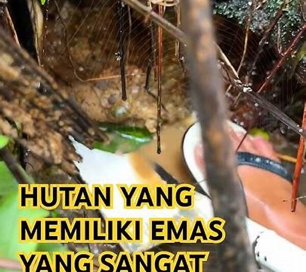 Perjalanan Berbahaya Mencari Emas